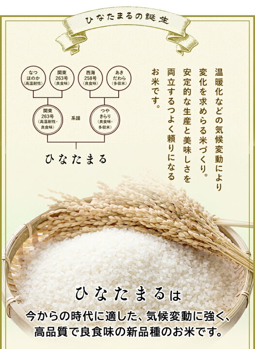 楽天市場】令和7年産 佐賀県産 ひなたまる 5kg 白米 精米 お米【送料 