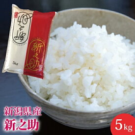 【新米】送料無料！新之助 5kg 新潟県産　産地直送米