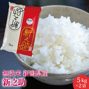 yVāz VV VYyāz 10kg@Yn