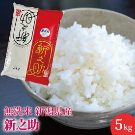【新米】送料無料！新之助【 無洗米】 5kg 新潟県産　産地直送米