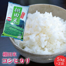 送料無料 新潟県産 棚田米 コシヒカリ 10kg(5kg×2袋)