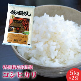 【新米】特別栽培（低農薬） 新潟県産 コシヒカリ 10kg(5kg×2袋)