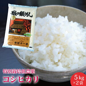 ʍ͔|i_j VY RVqJ 10kg(5kg×2)