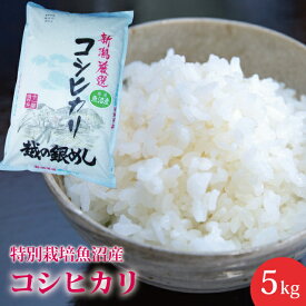 【新米】送料無料 特別栽培 魚沼産 コシヒカリ 5kg