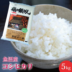 送料無料！新潟県魚沼産 コシヒカリ 5kg　産地直送米