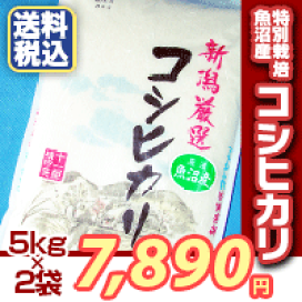 楽天市場】送料無料 新之助 新潟産【無洗米】 10kg 産地直送米