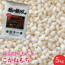 【新米】新潟県産 こがねもち 5kg