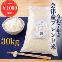 コシヒカリ 30kg お 米 30 キロ 値段 コシヒカリ 30kg 玄米 千葉県産 