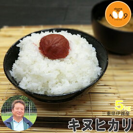 楽天市場 ヒラキ 送料無料の通販 楽天市場 ヒラキ 送料無料の通販