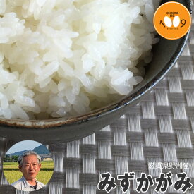 新米 滋賀県野洲産 みずかがみ 玄米 白井利幸 令和7年産 環境こだわり農産物