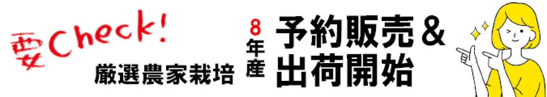 予約販売開始
