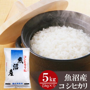 �����Y �R�V�q�J�� 5kg(5kg×1��) �ߘa7�N�Y�V�� �V�� ���j�� ���Ԃ� �������� ���� �M�t�g