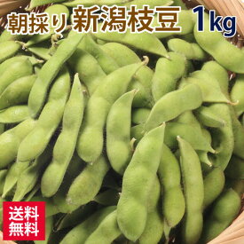 朝採り 黒埼産 新潟枝豆(1kg) 枝豆早生品種 いち早く旬の枝豆をお届け 数量限定【出荷時期：2026年6月下旬頃】朝採り 新鮮 お取り寄せグルメ えだまめ県新潟