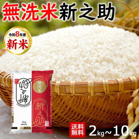 令和8年産 新米 無洗米 新潟産 新之助 一等米 2kg／4kg／5kg／10kg 米 送料無料 精米 白米 新潟の新しいブランド米【新潟ケンベイ お中元 お歳暮 ギフト】
