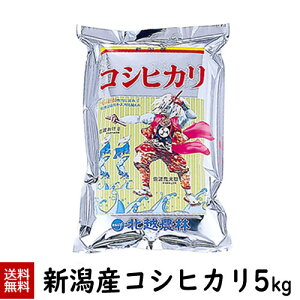 ߘa7NY V VYRVqJ5kg(5kg×1)  5kg  VY Ђ    kz_