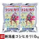 令和7年産 新米 新潟産コシヒカリ10kg(5kg×2袋) 米 10kg 送料無料 こしひかり 新潟 白米 北越農林
