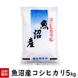 ߘa7NYV YRVqJ5kg(5kg×1)  5kg  Ђ V   kz_