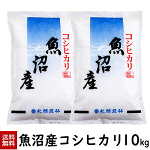 ߘa7NYV YRVqJ10kg(5kg×2)  10kg  Ђ V  kz_