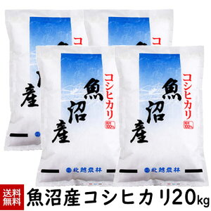 ߘa7NYV YRVqJ20kg(5kg×4)  20kg  Ђ V   kz_