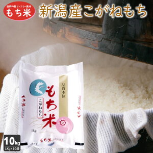 VY˂  10kg(1kg×10) ߘa7NY V  10kg  ݕ 