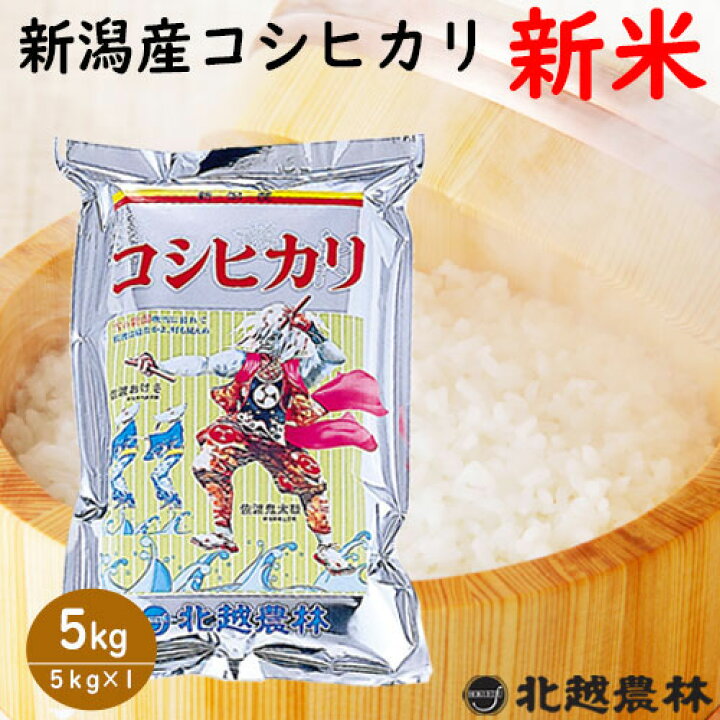 お見舞い 新米 新潟県 4年産 コシヒカリ 白米 5kg 5kg×1袋 お米 米 nascd.edu.bd