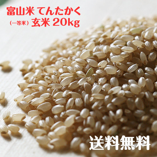 10kg2袋でお届けします 富山県生まれのブランド米 富山県産てんたかく玄米 贈与 令和2年度産 限定品 一等米 20kg