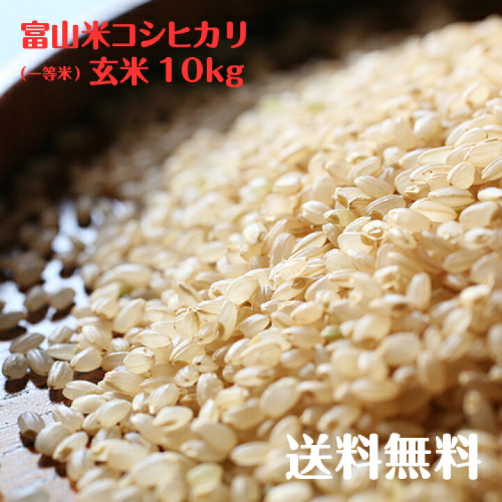 楽天市場】富山県産コシヒカリ玄米(一等米)10kg【令和7年度産】 : 富山 