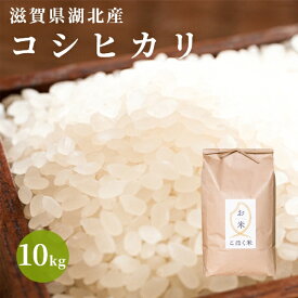 令和6年 滋賀県湖北産湖北のコシヒカリ 10kg食味最高ランク特A3年連続受賞減農薬米　選べる白米玄米
