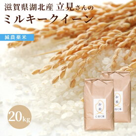 令和7年　滋賀県湖北産立見さんのミルキークイーン 20kg減農薬米　選べる白米玄米