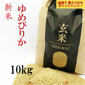 yIōő100PobNIzVā@ 10kg(5kg×2) ߂҂肩 ߘa7NY kCY  