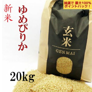 yIōő100PobNIzVā@ 20kg(5kg×4) ߂҂肩 ߘa7N kCY  iAj