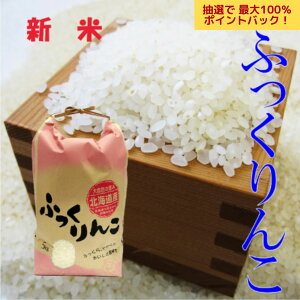 yIōő100PobNIzVā@ӂ 10kg(5kg×2) ߘa7NkCYiAj