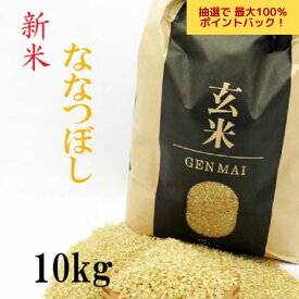 【抽選で最大100％Pバック！】新米　玄米 10kg(5kg×2) ななつぼし 令和7年 北海道産 お米 送料込