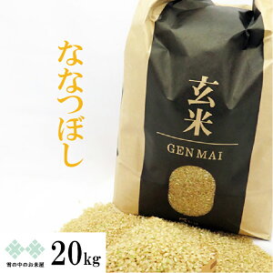 【13,250円～】令和6年 北海道産 ななつぼし/ゆめぴりか  玄米 5kg×4