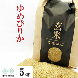 玄米 5kg ゆめぴりか 令和7年産 北海道産 お米　送料無料
