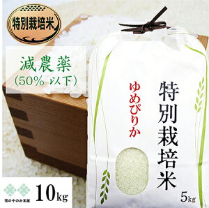 Vā@_ʍ͔| ߂҂肩 10kg(5kg×2) ߘa7NY@kC    iAj
