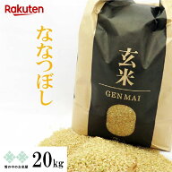 【エントリーで最大10万ポイント当選！？】玄米 20kg(5kg×4) ななつぼし 令和7年 北海道産 お米 送料無…