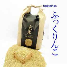 玄米 20kg(5kg×4) ふっくりんこ 令和5年北海道産　送料無料（沖縄、離島を除く）