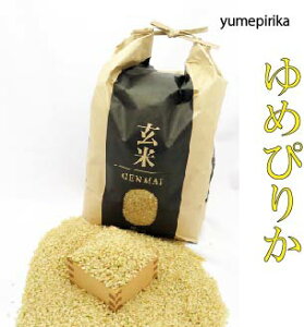 玄米 10kg(5kg×2) ゆめぴりか 北海道産