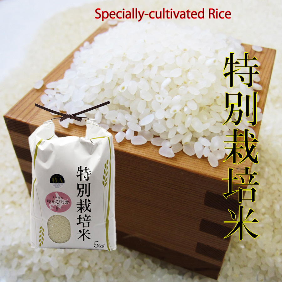 年間定番 令和4年度産 後藤明子さんのお米 5kg コシヒカリ 自然栽培 熊本阿蘇産 玄米 白米 分づき米