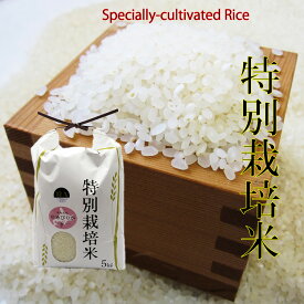 減農薬特別栽培米 ゆめぴりか 5kg 精米 令和5年 北海道産 お米 白米 精米　送料別