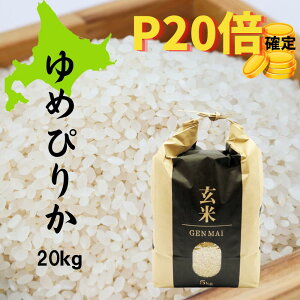 玄米 10kg(5kg×2) ゆめぴりか 北海道産
