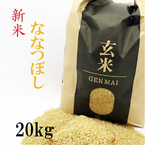 Vā@ 20kg(5kg×4) ȂȂڂ ߘa7N kCY  iAj
