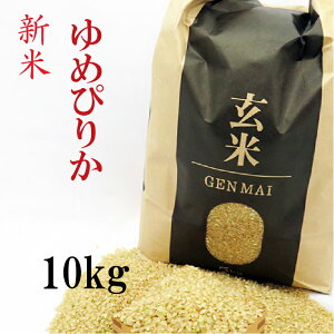Vā@ 10kg(5kg×2) ߂҂肩 ߘa7NY kCY  