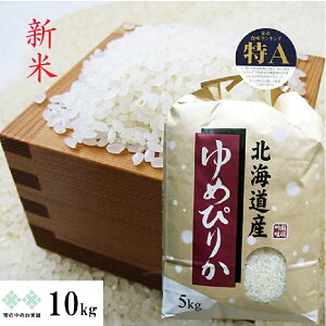 Vā@߂҂肩 10kg(5kg×2) AnkmEY ߘa7NY kC    iAj