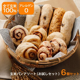 送料無料 グルテンフリーパン 発芽玄米パン 低gi 便秘予防 ギャバ 美肌 血圧低下 ダイエット 食物繊維 レンチン後冷めても柔らかい もちもち しっとり 詰め合わせ 発芽玄米 玄米100% 米粉パン 保存料不使用 増粘剤不使用　添加物不使用 アレルギー0 腸活 低糖質 整腸作用