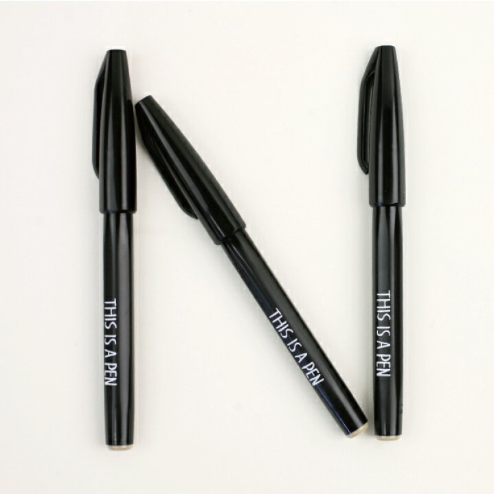 楽天市場 マラソン期間中エントリーでp10倍 Noritake ノリタケ This Is A Pen サインペン 水性 ぺんてる イラストレーター Cdc General Store