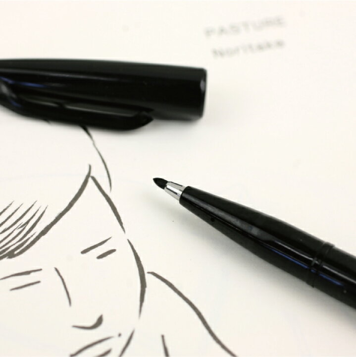 楽天市場 マラソン期間中エントリーでp10倍 Noritake ノリタケ This Is A Pen サインペン 水性 ぺんてる イラストレーター Cdc General Store