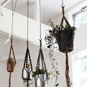 y100~N[|zzzHINODE[qmf]CHAIN OyL3z[`F[tbN nMO ݂邵 ϗtA K[fjO CeA fBXvC]