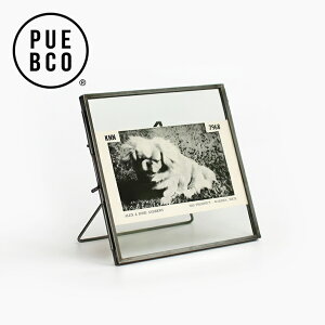 y100~N[|zzzPUEBCO[vGuR]STANDARD FRAME Square/L[ʐ^ t[ |bvX^h  ` X`[ KX POP Y W fBXvC Vv X^_[ht[XNG